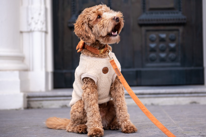 Velvy Coco - Afbeelding 2