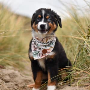 Boho Vibez