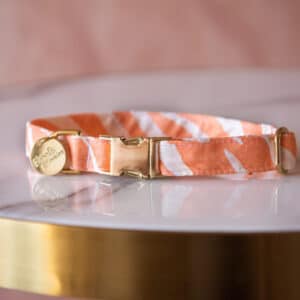 Vintage Zebra Orange