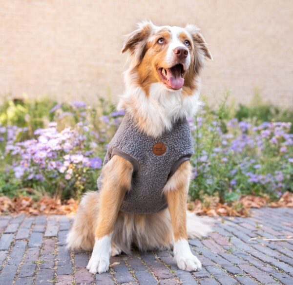 Walking Teddy Bear Darky Grey S|L|XL