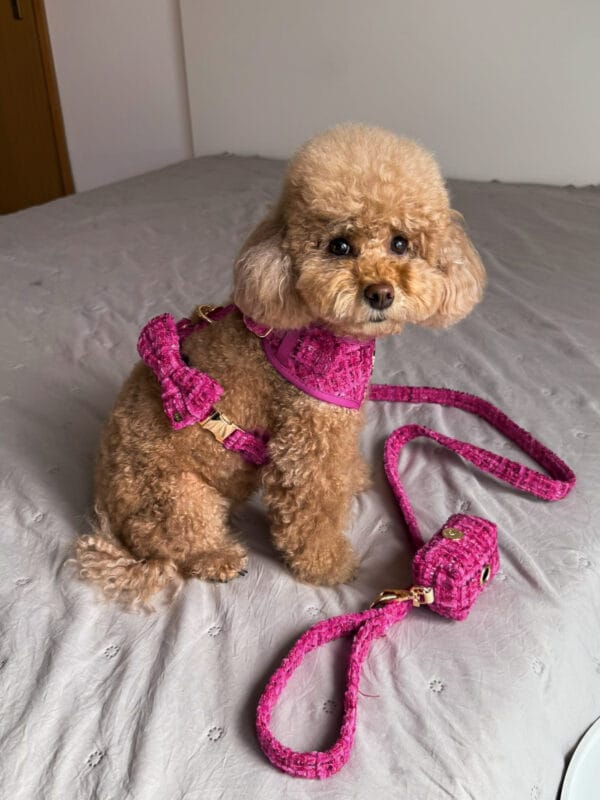 Chloe - Image 3