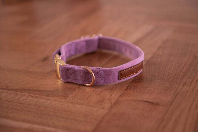 Velvy Lavie - Afbeelding 3