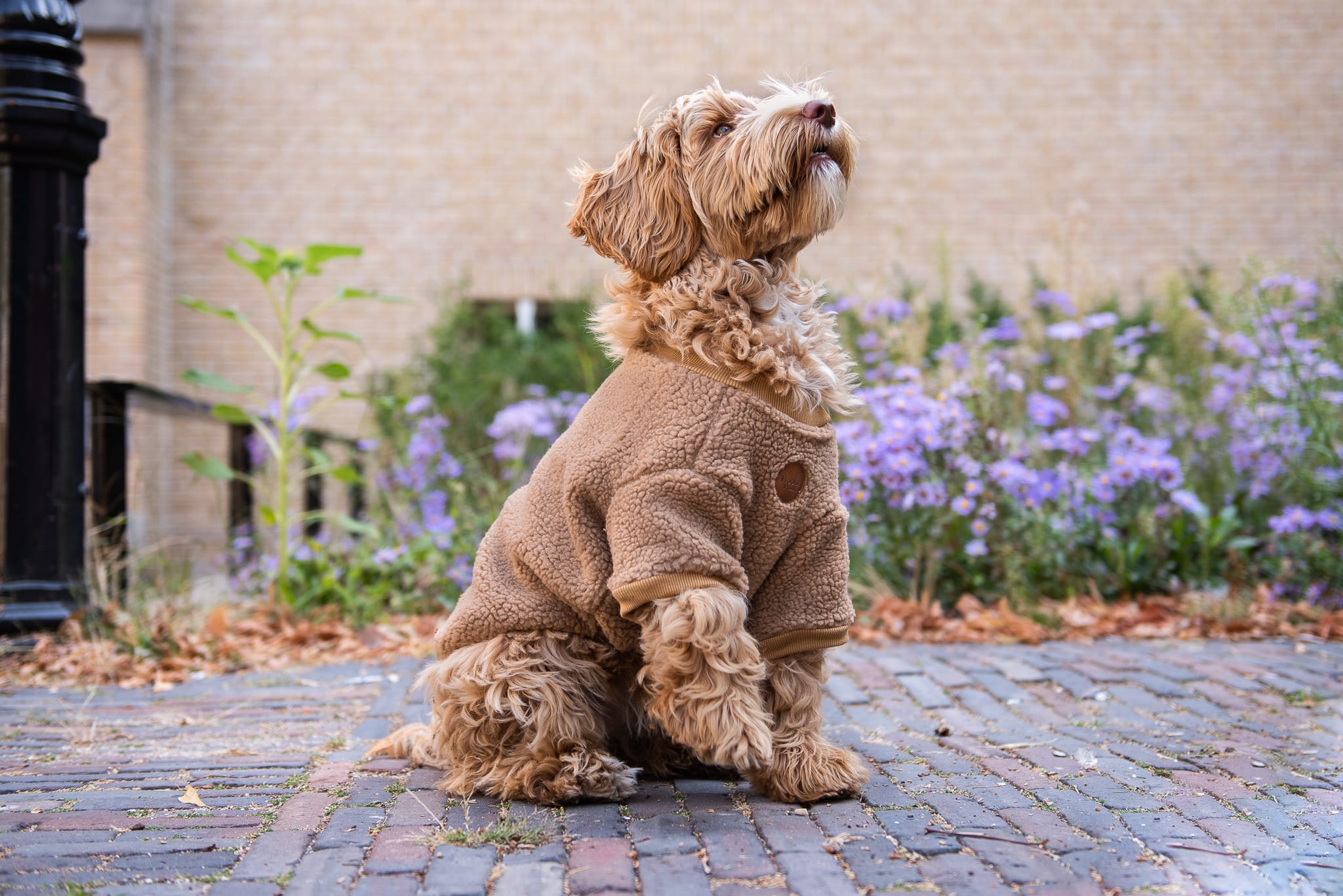 Walking Teddy Bear Brownie - Afbeelding 3