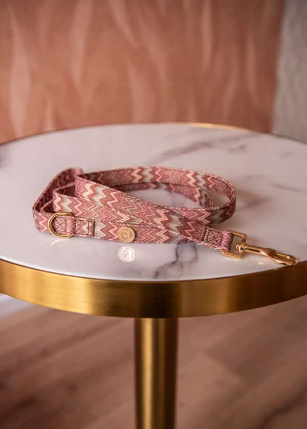 Zazzy leash