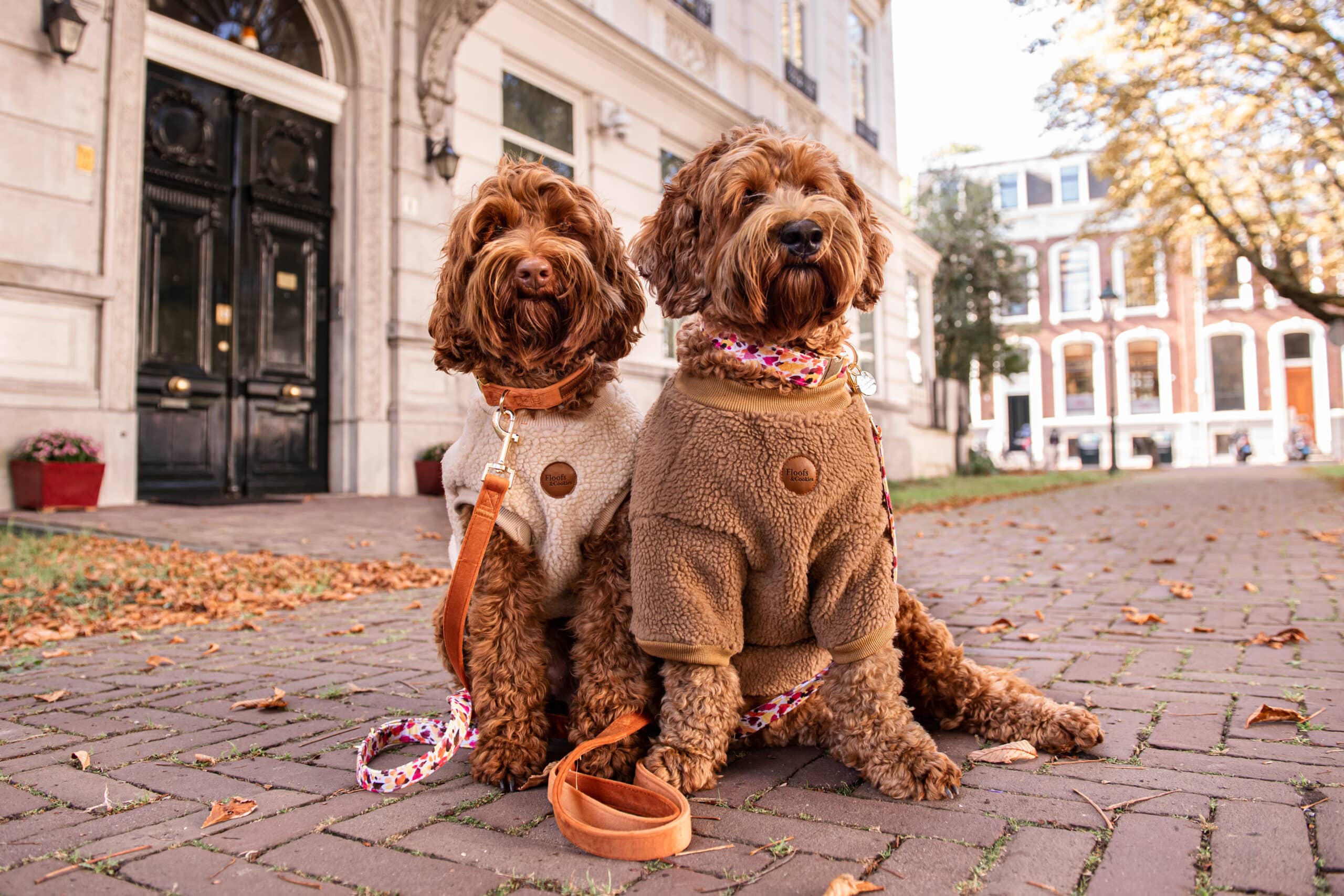 Gift card - Afbeelding 2