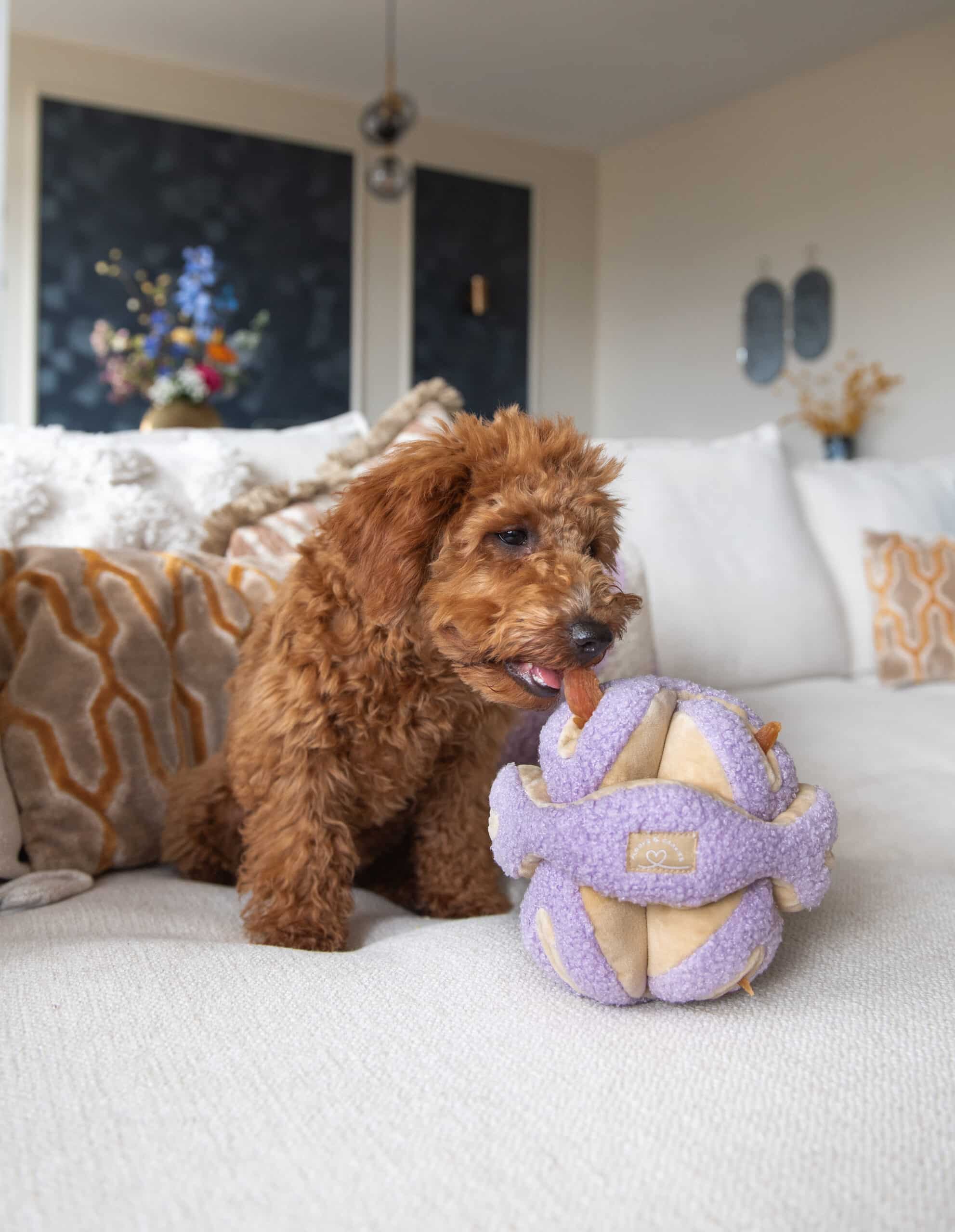 Snuffles Lilac - Afbeelding 4