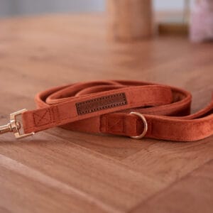 Velvy Coco leash