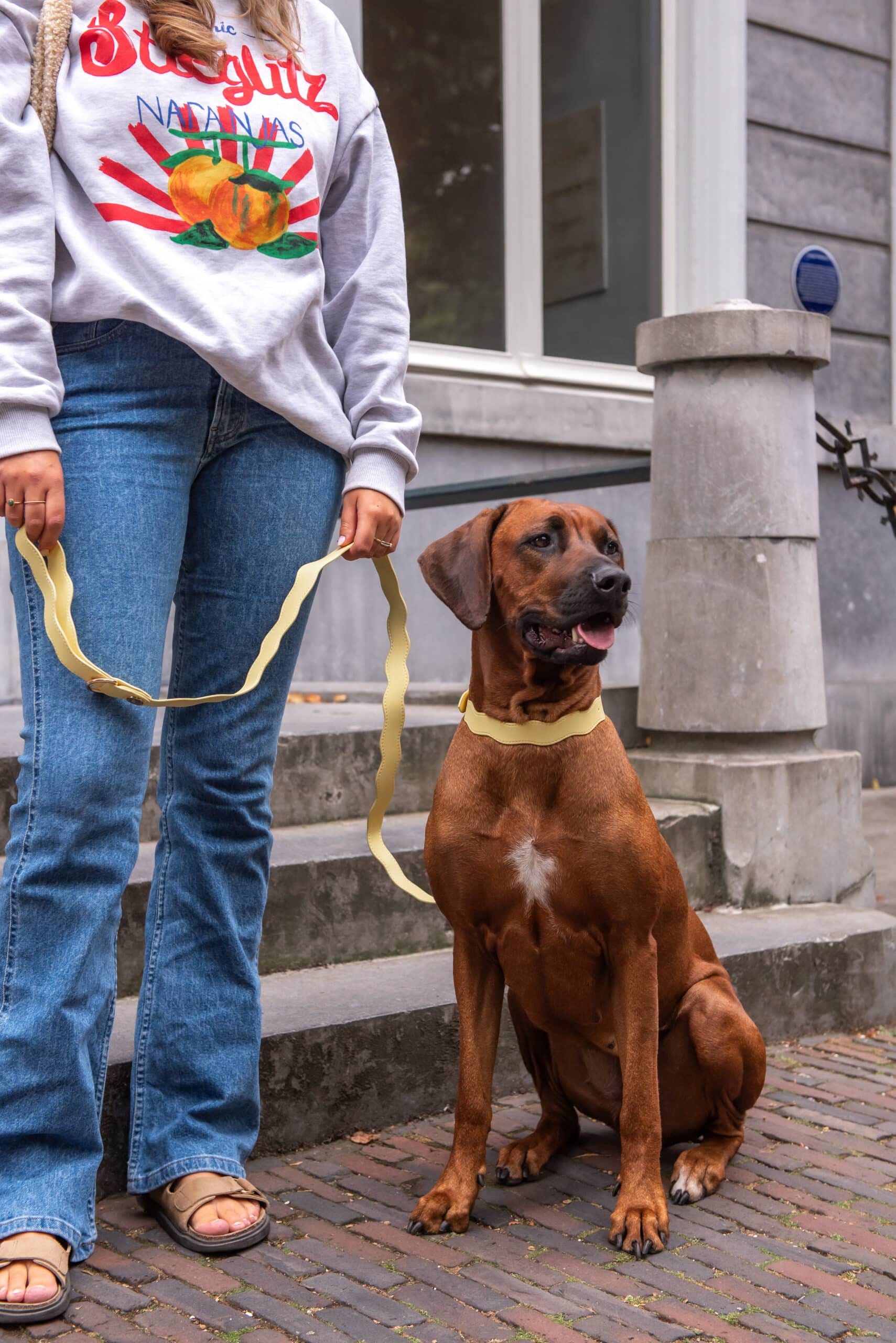 Wavy Lilo - Afbeelding 4