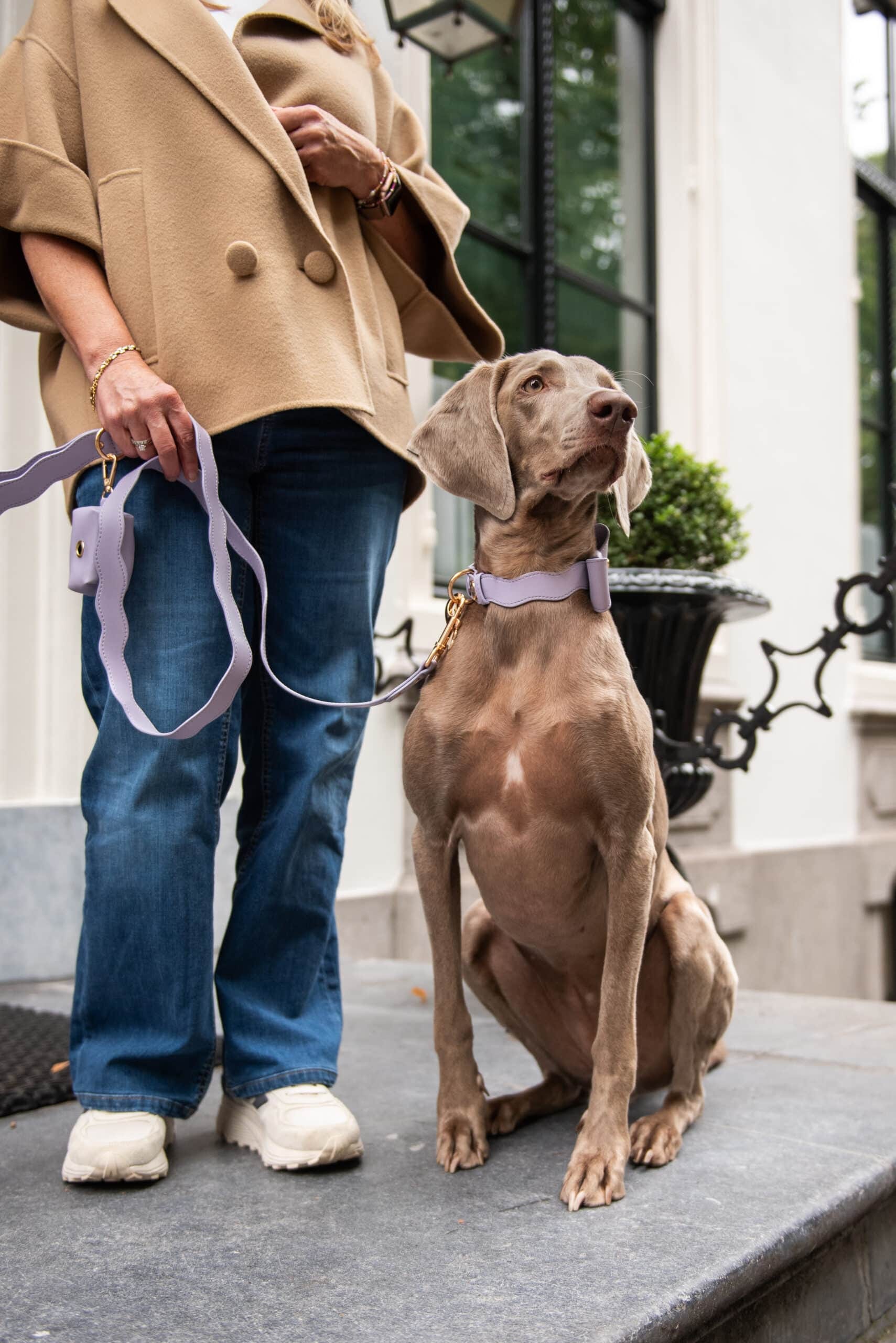 Wavy Maggy - Afbeelding 2