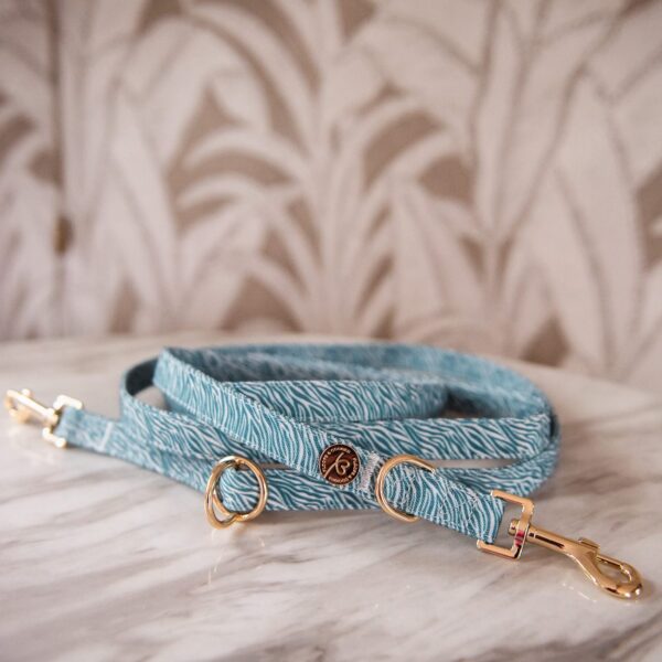 Nobu handsfree leash