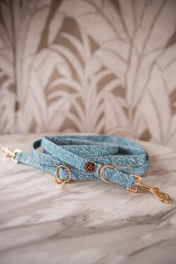 Nobu handsfree leash