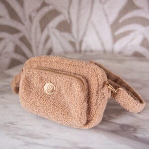 Fancy dog mom bag Teddy Browny