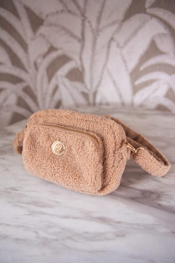 Fancy dog mom bag Teddy Browny