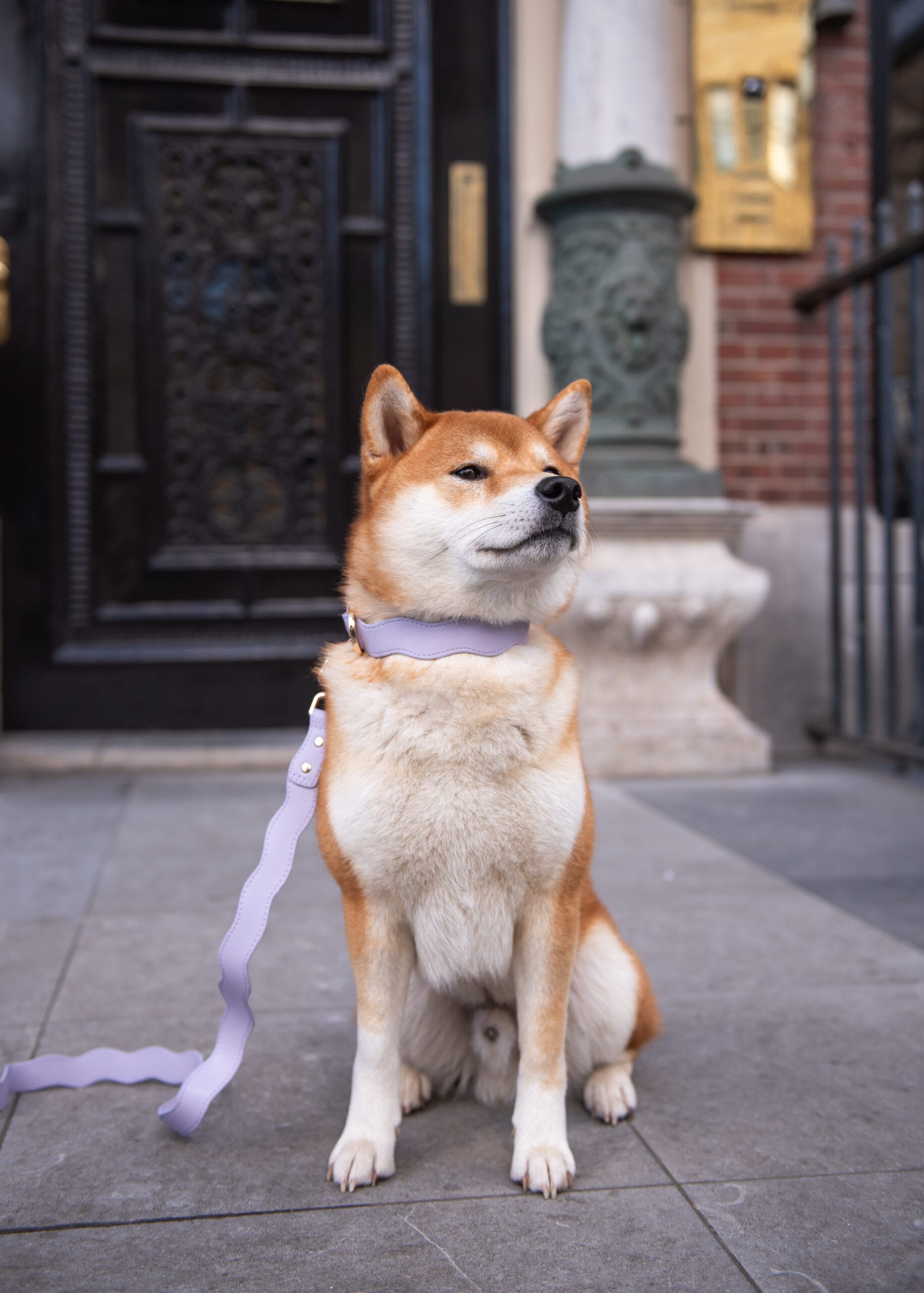 Wavy Maggy - Afbeelding 3