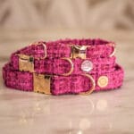 Chloe Collar