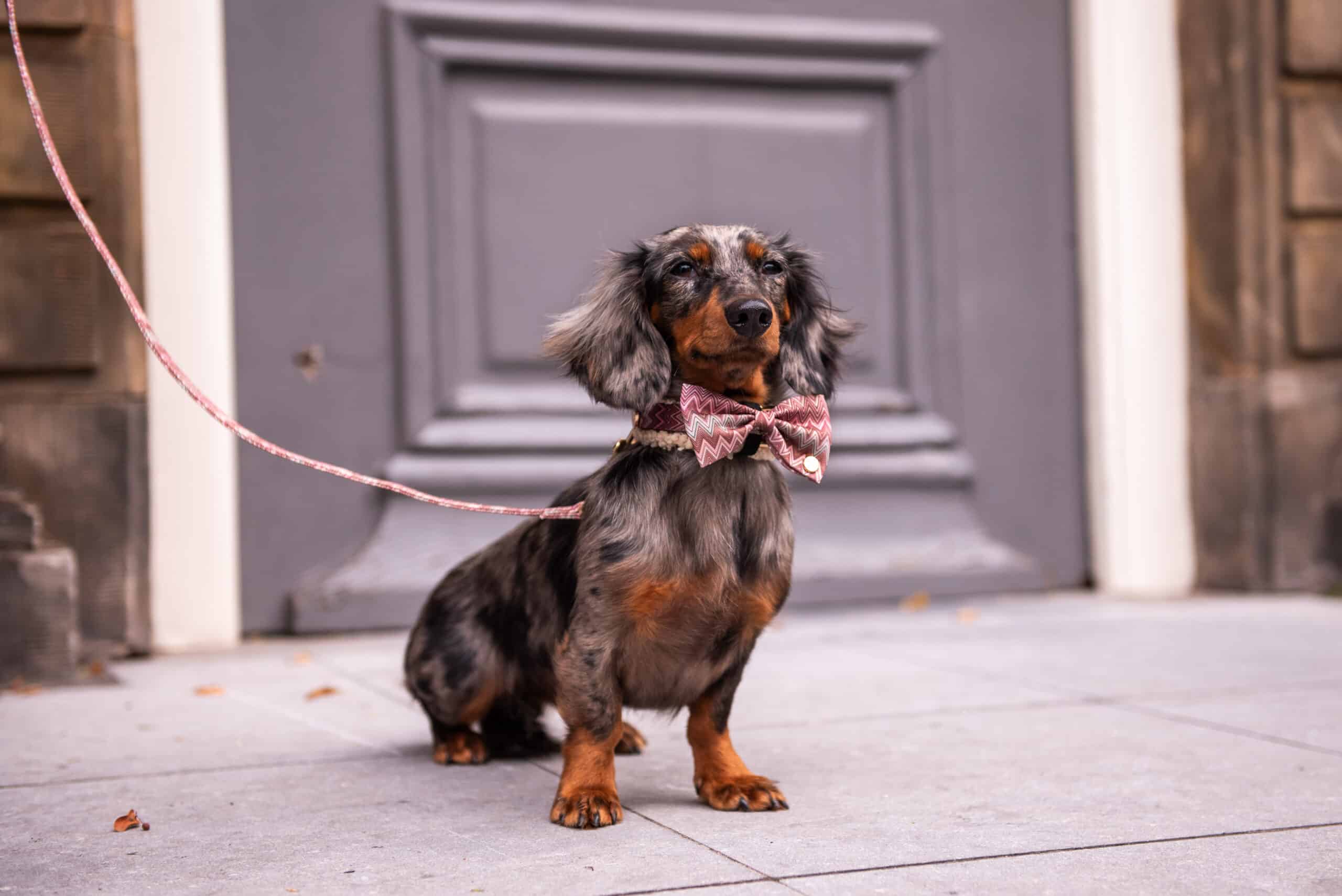 Gift card - Afbeelding 2