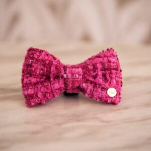 Chloe bow-tie