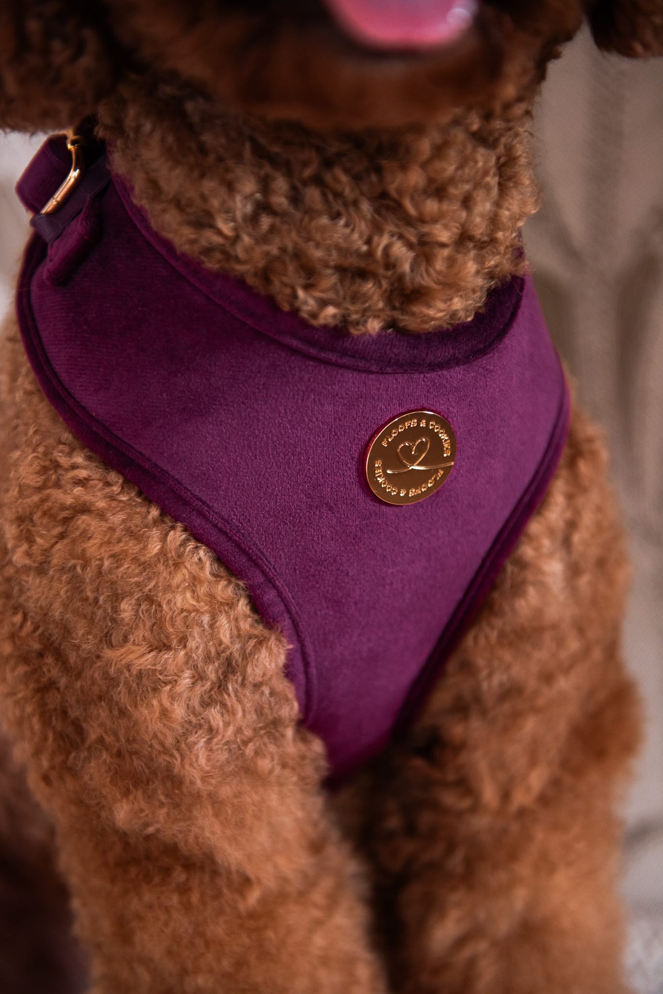 Bibi Harness - Afbeelding 2