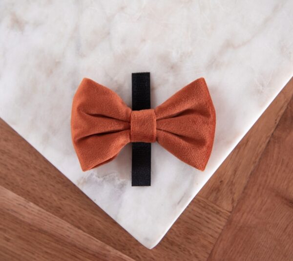Velvy bow-tie Coco