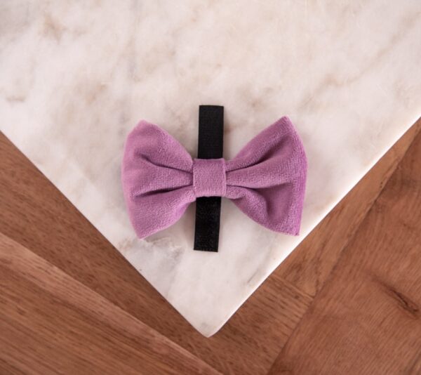 Velvy Lavie bow-tie